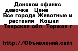 Донской сфинкс девочка › Цена ­ 15 000 - Все города Животные и растения » Кошки   . Тверская обл.,Торжок г.